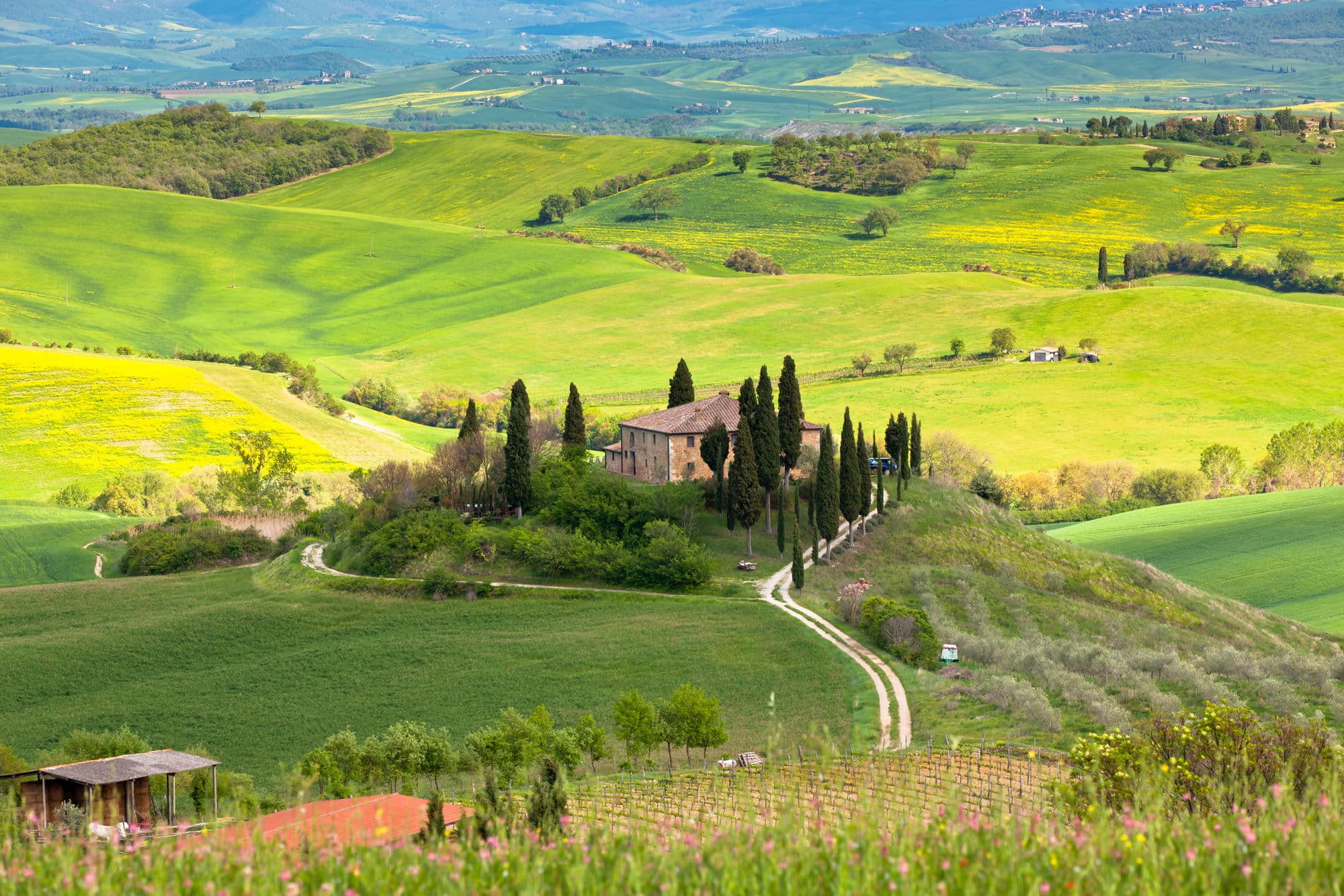 Toscana viinimatka