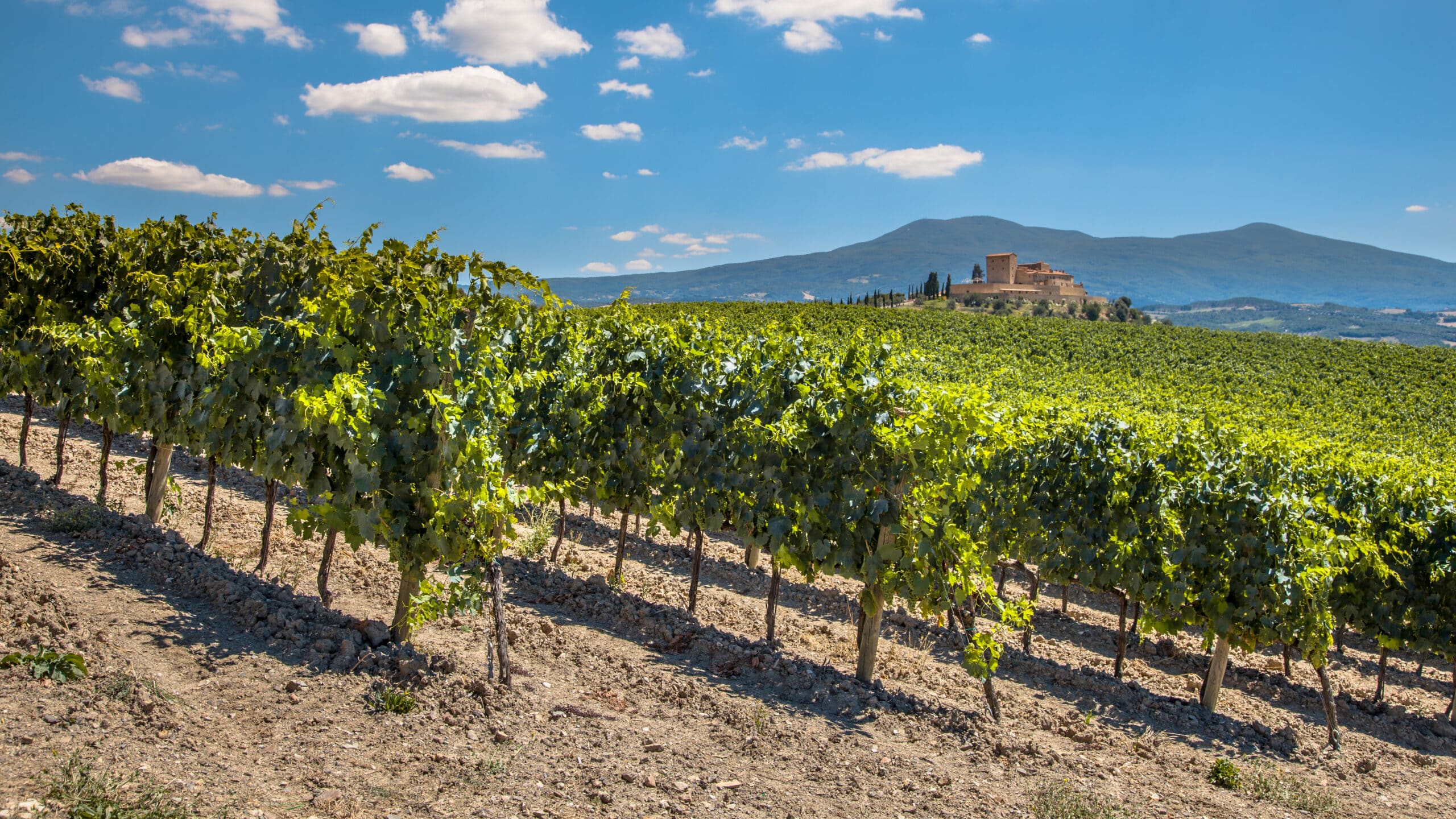 Toscana viinimatka
