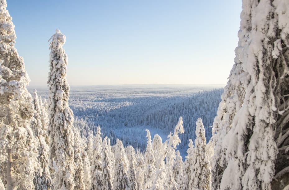 Unique Lapland