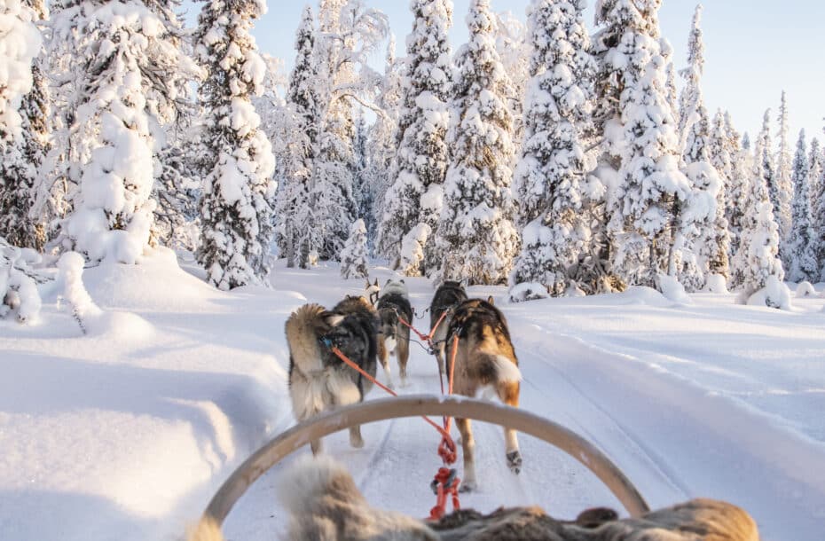 Husky Safaris