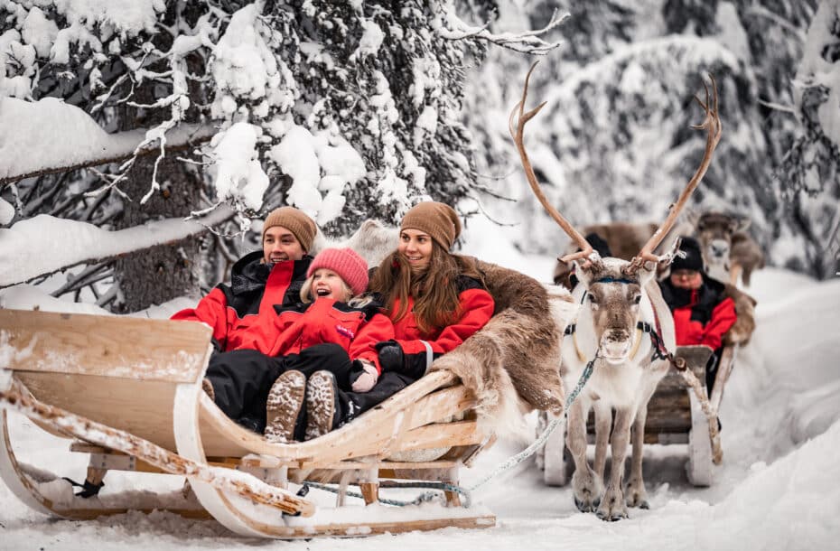 Reindeer Sleigh Rides